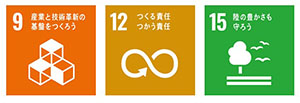 SDGs-icon_No.9.12.15