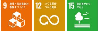 SDGs_icon9.12.15