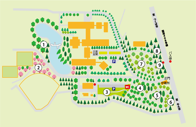 第1樹木園の地図