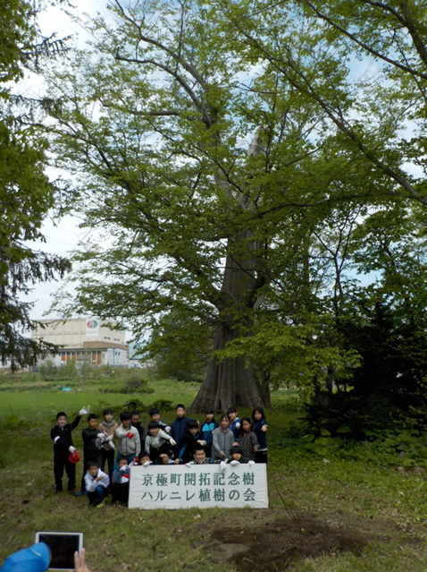 京極町開拓記念樹の里帰り