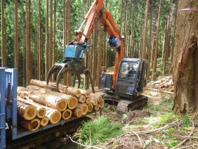 林業機械を使い搬出用林業機械荷台に間伐材を積込む作業写真