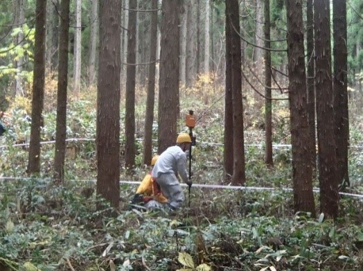 職員1名がレーザースキャナー機材を用いて森林現況調査法を林内で現地検討している写真