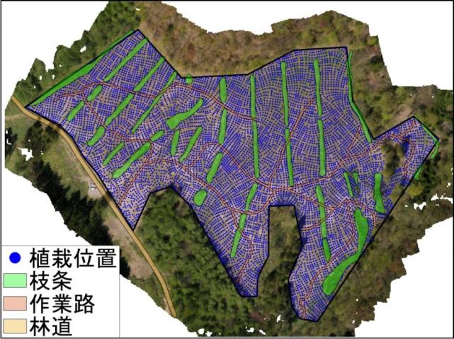 図1 造林プランニングシステムにより立案した植栽計画