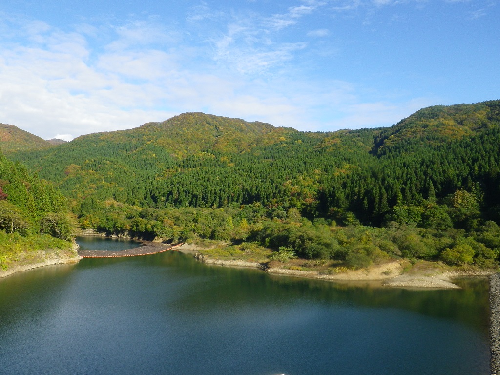 秋田県八峰町の水源林の写真