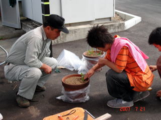 2007021_柏陵_植木鉢
