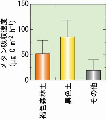 図２　本研究から得られた日本の森林土壌におけるメタン吸収速度