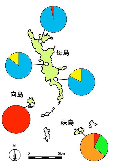 図２：ＤＮＡ解析で分かった各島のメグロ個体群の遺伝的差異