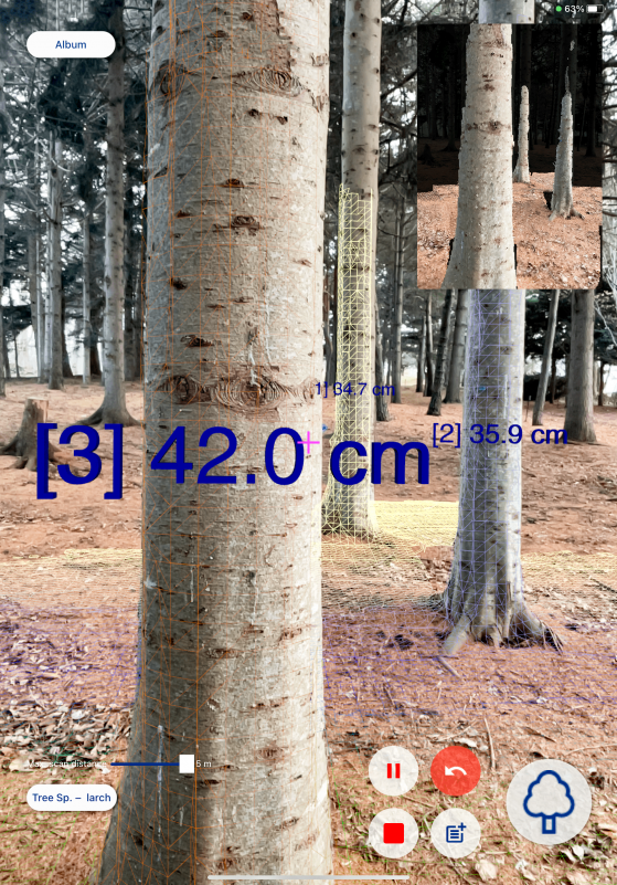 ForestScannerを使用して木の直径を測定し、瞬時に直径データが画面に表示されている様子