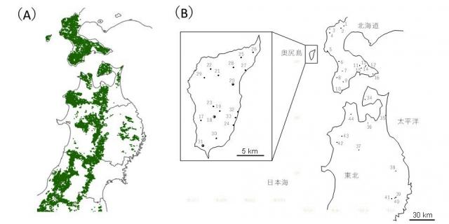 東北地方から北海道黒松内町と奥尻島のブナの分布域等を示す図
