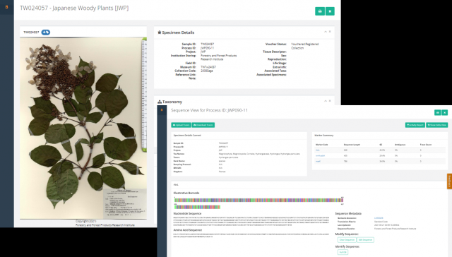 図2学名や証拠標本の採取地などの情報が登録されているDNAバーコードライブラリーの参考画面