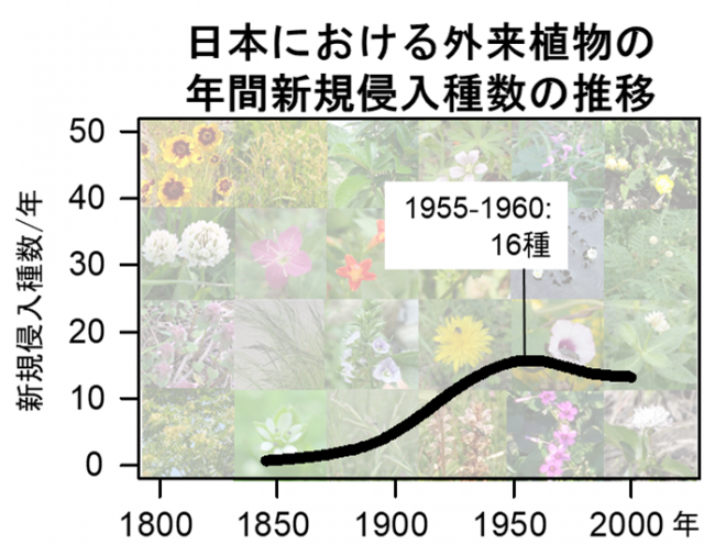 日本における外来植物の年間新規侵入種類の推移