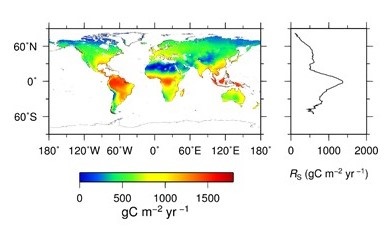 全球土壌のCO2放出量の予測図