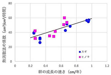 図2：幹の成長の速さと熱消散法の係数の関係