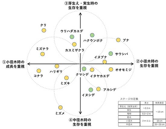 図：広葉樹17種の生態を2つの軸で類型化