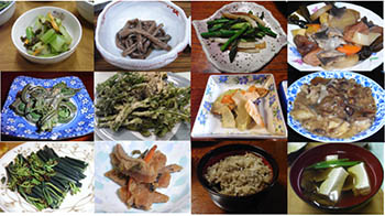 写真3：様々な山菜・きのこ料理