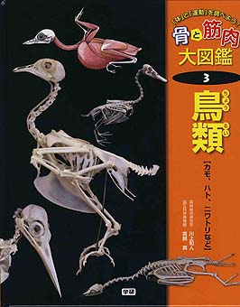 骨と筋肉大図鑑3 鳥類