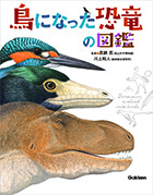 「鳥になった恐竜の図鑑」表紙の写真