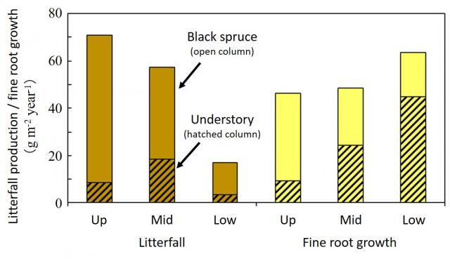 Figure showing litterfall production and fine root growth at different slope positions. 