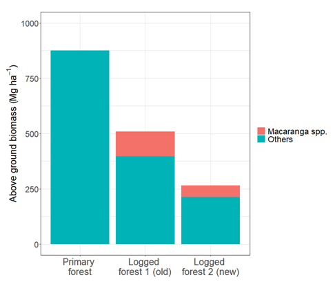 Figure. Comparison of above ground biomass