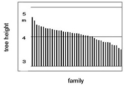 photo03:Graph of tree height by strain