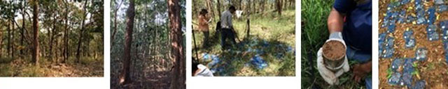 photo01:photos on this research theme
