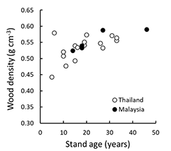 fig02:Relationship between forest age and material density of teak plantation