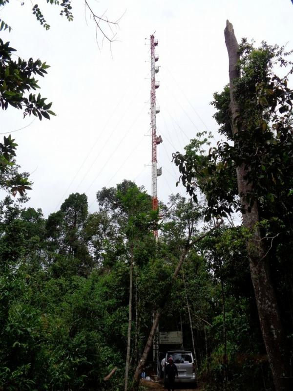 57m-high-tower established in tropical seasonal forest in Cambodia