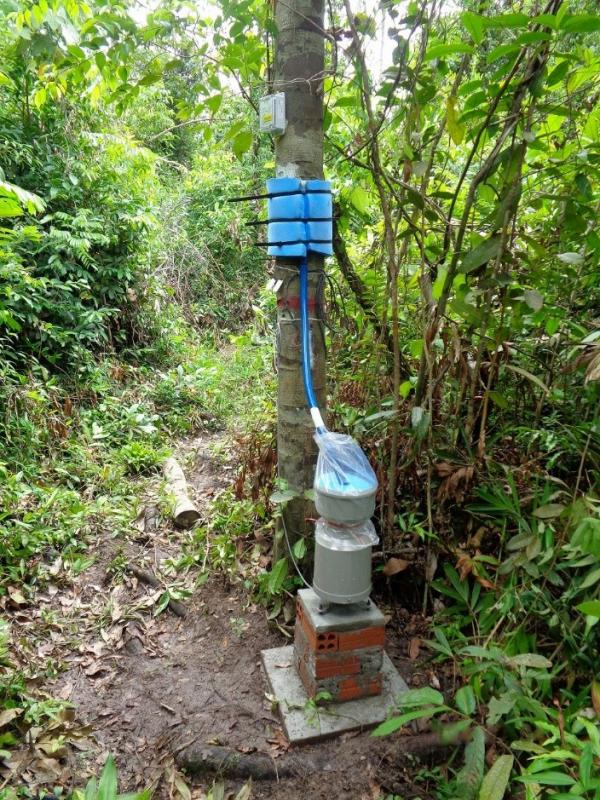 Stemflow is collected by a blue mat fixed on stem, and fluctuation of tree sway is measured by an accelerometer.