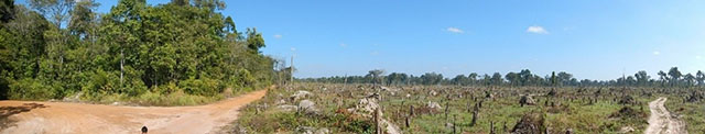 photo01:Photo of countryside landscape, remaining degraded forest and agricultural filed in Cambodia.