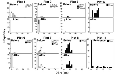 fig01:Frequency distribution of canopy species by size class