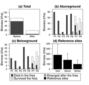fig02:Graph of estimated biomass before and after fire