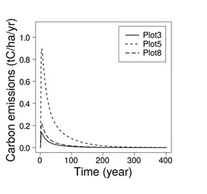 fig03:Prediction graph of carbon decomposition simulation of Pinus densiflora