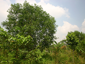Photo at the end of the project