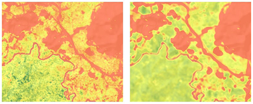 Parts of biodiversity estimation maps created using a mathematical model (near Sangatta City, East Kalimantan). 