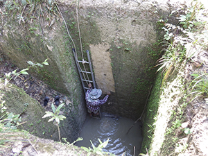 photo03:Photo of a researcher examining the large soil profile submerging his lower body in water at the bottom of a deep hole.