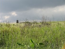 photo03:photo of chigaya meadow