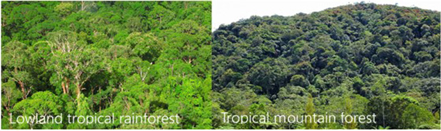 photo01:photos on this research theme