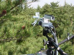 Figure: Photosynthesis measurement
