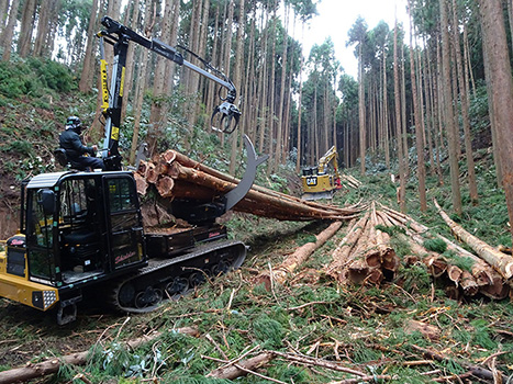 06foreng-02:Full tree logging by the developed rubber crawler type clambunk skidder.
