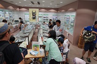 クワガタの標本コーナーの様子