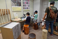顕微鏡で木材組織を観察している様子