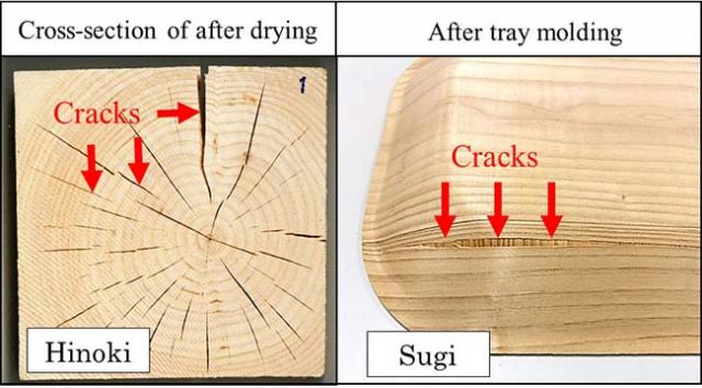 Figure 1：Image of wood cracked because