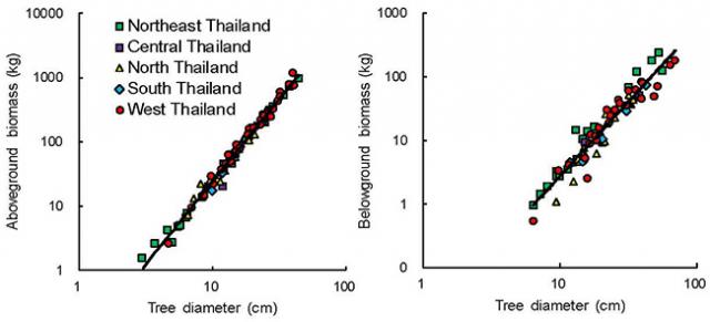 Figure 2. Relationships between the above-ground