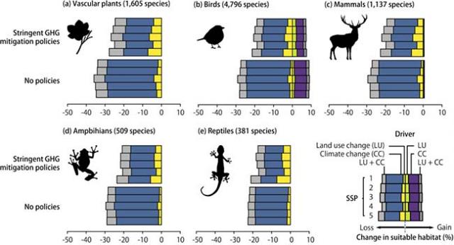 Figure1. Outline of the study