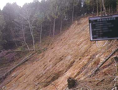 suigai_hukuokaH29.jpg