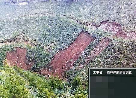 suigai_kagosimaH28.jpg