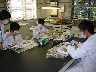 IMG_0203.jpg