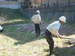 IMG_0209.jpg