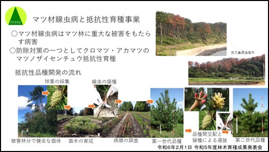 松永育種研究室長の「九州地方におけるマツノザイセンチュウ抵抗性育種の取組」