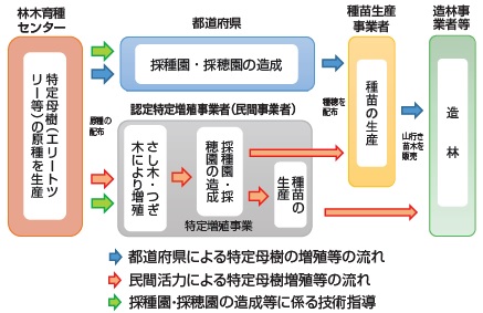 fukyutaisei